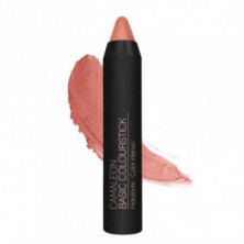 Basic Colourstick Color Nude Nº5 Camaleon