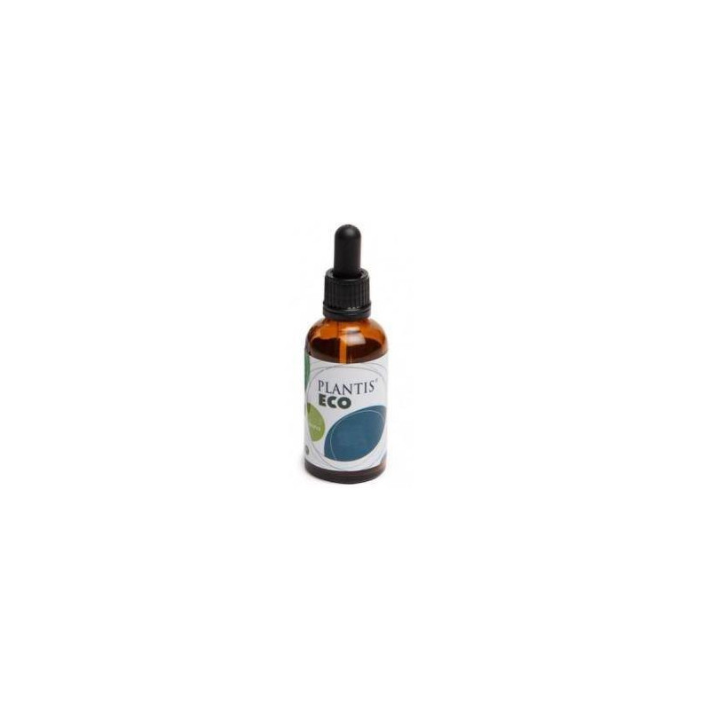 Extracto Echinacea Eco Sin Alcohol 50 ml Plantis