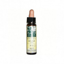 Aulaga Nº13 Elixir Floral Eco (Dr. Bach) 10 ml Plantis