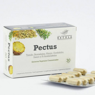 Pectus 30 Cápsulas Betula