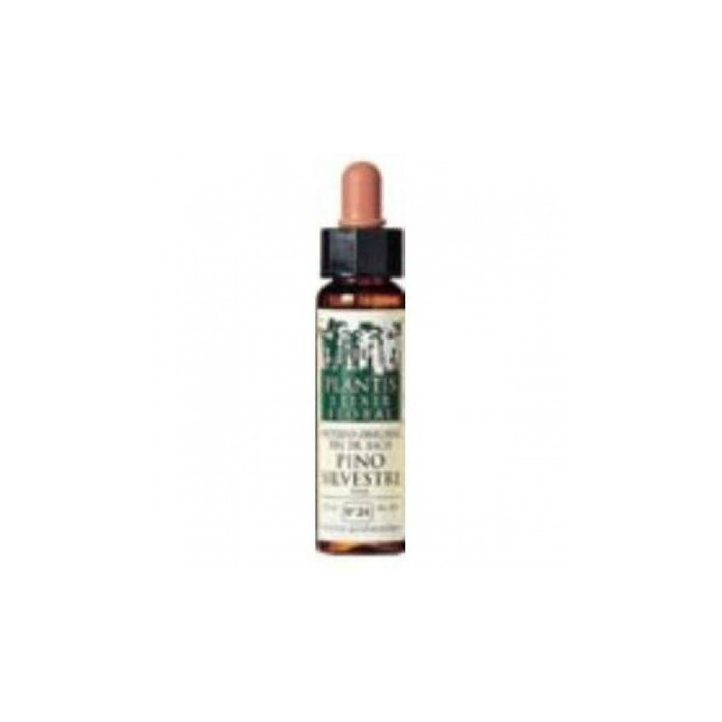 Pino Silvestre-24 Eco Elixir Floral (Dr. Bach) 10 ml Plantis