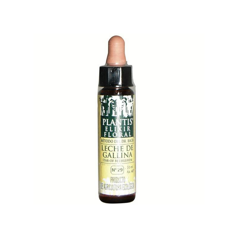 Leche Gallina-29 Eco Elixir Floral (Dr. Bach) 10 ml Plantis