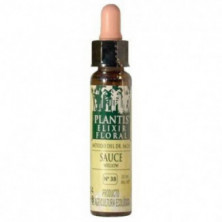 Sauce-38 Elixir Floral Eco Sin Alcohol (Dr. Bach) 10 ml Plantis