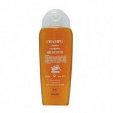 Champú Cabellos Castigados 250 ml Vital 2000