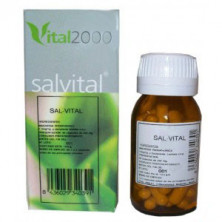 Salvital 9 KS Kalium Sulphuricum 50 Cápsulas Vital 2000