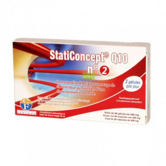 Staticoncept 2 + Q10 Fenioux