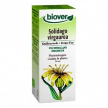 Extracto Vara De Oro (Solidago Virga Aurea) 50 ml Biover