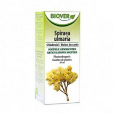 Extracto Reina de los Prados (Spiraea Ulmaria) 50 ml Biover