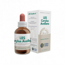 Les Corylus Avellana 50 ml Forza Vitale