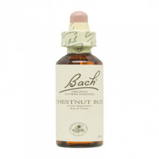 Flores De Bach 07 Brote de Castaño 20 ml