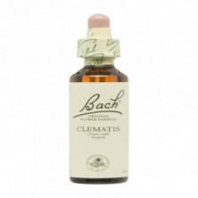 Flores De Bach 09 Clematide 20 ml