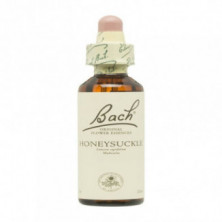 Flores De Bach 16 Madreselva 20 ml