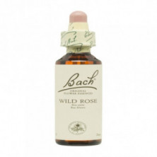 Flores De Bach 37 Rosa Silvestre 20 ml