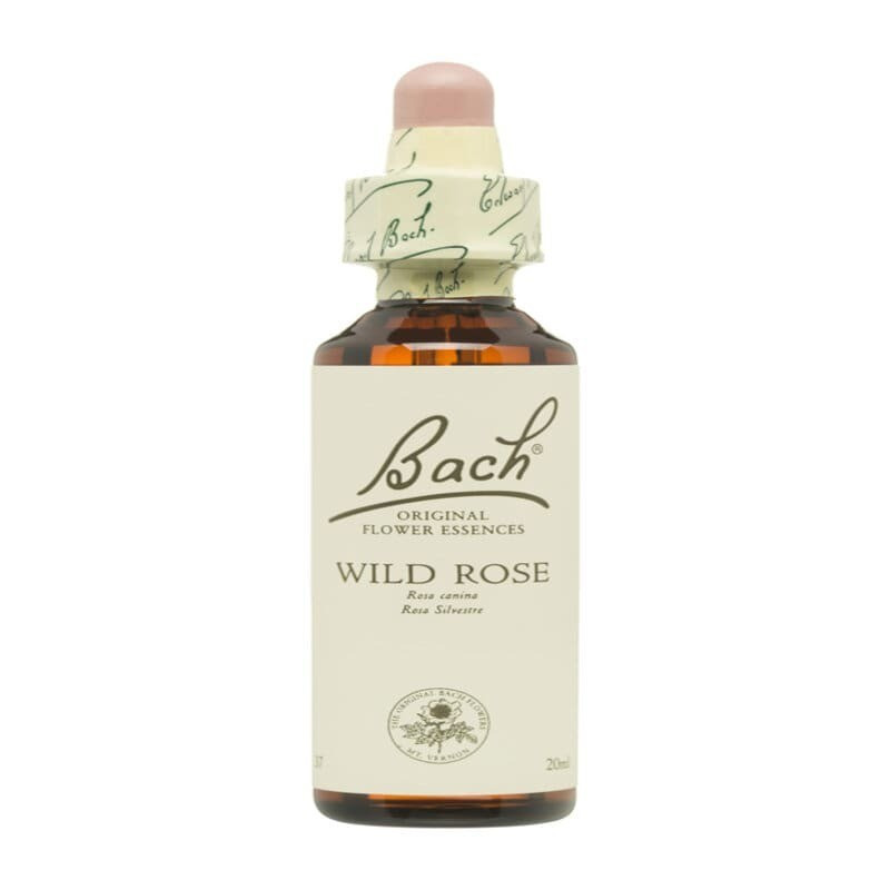 Flores De Bach 37 Rosa Silvestre 20 ml