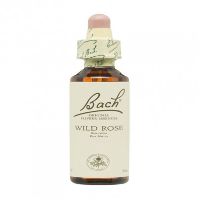 Flores De Bach 37 Rosa Silvestre 20 ml