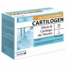 Cartilogen 20 Sobres Dietmed