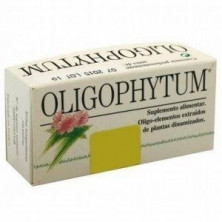 Oligophytum Cobre+Zinc 100 gr Holistica