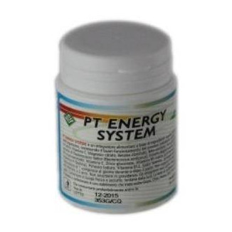 Pt Energy 30 Comprimidos Gheos