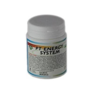 Pt Energy 30 Comprimidos Gheos