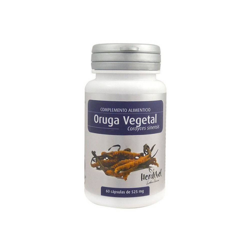 Oruga Vegetal (Cordyceps Sinensis) 60 Cápsulas Herdibel