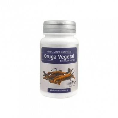 Oruga Vegetal (Cordyceps Sinensis) 60 Cápsulas Herdibel