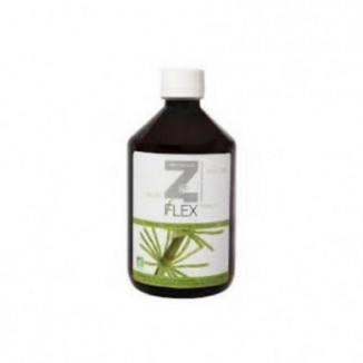 Z-flex 500 ml Mint-e Health Laboratories