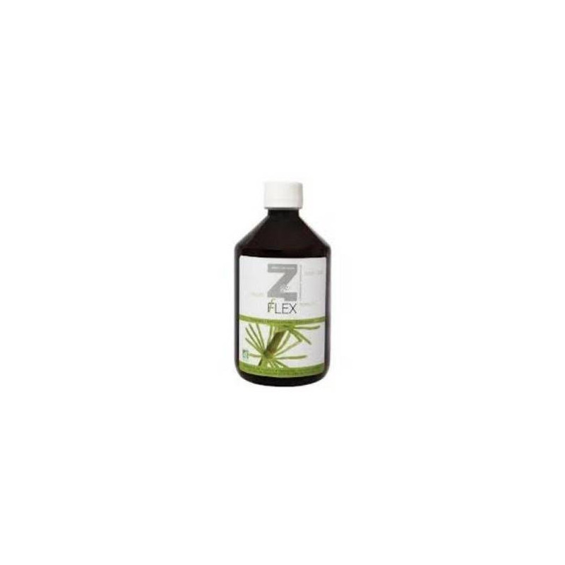 Z-flex 500 ml Mint-e Health Laboratories