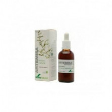 Extracto Artemisia 50 ml Naturlife