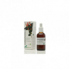 Extracto Zarzaparrilla 50 ml Naturlife