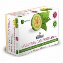 Garcinia Cambogia 800 mg 60 Cápsulas Nature Essential