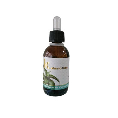 Kalanchoe 50 ml Lumen