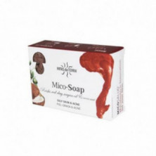 Mico-soap Reishi-arcilla Roja-argan-coco 150 gr Hifas Da Terra