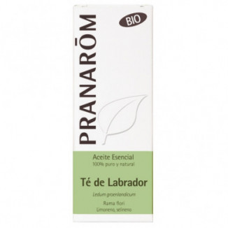 Aceite Esencial Te Del Labrador Bio 5 ml Pranarom