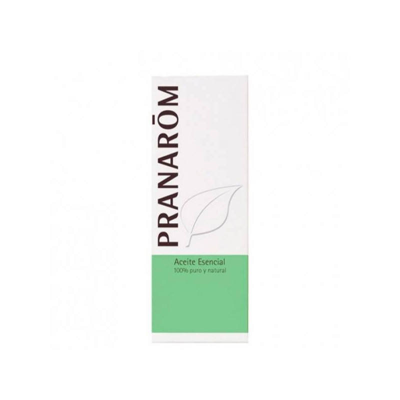 Aceite Esencial Lemongrass De La India 10 ml Pranarom