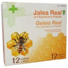 Jalea Real para Adultos 12 Viales Edda Pharma