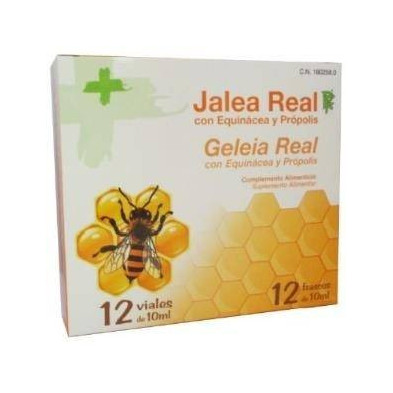 Jalea Real para Adultos 12 Viales Edda Pharma