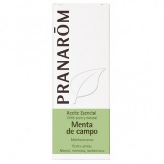 Aceite Esencial Menta De Campo 10 ml Pranarom