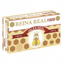 Reina Real 1.500 20 Ampollas Robis