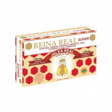 Reina Real Super 20 Ampollas Robis