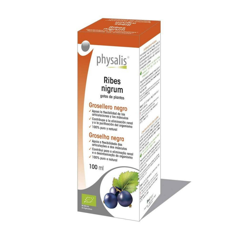 Extracto Grosellero Negro (Ribes Nigrum) 100 ml Bio Physalis