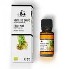 Aceite Esencial de Menta del Campo 10 ml Bio Terpenic Evo