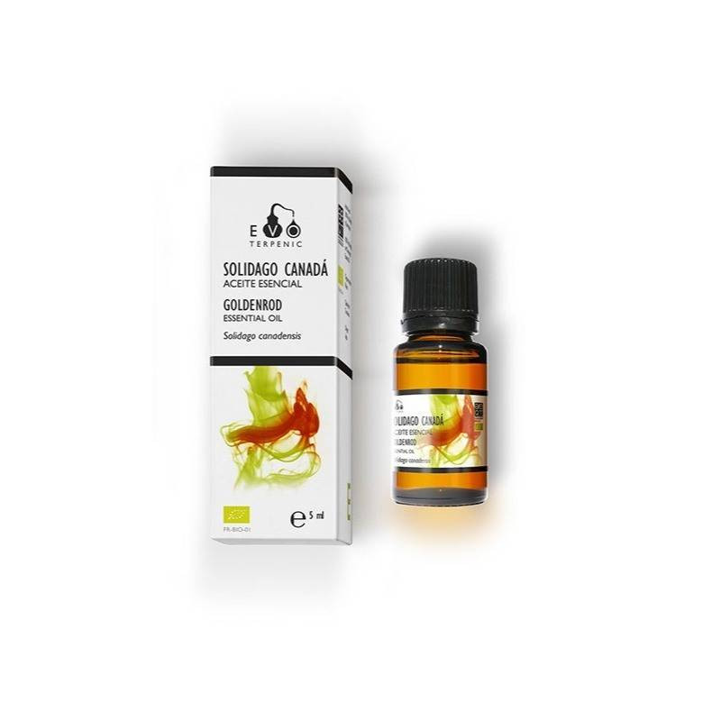 Solidago De Canada Aceite Esencial Bio 5 ml Terpenic Evo