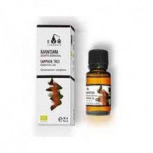 Aceite Esencial de Ravintsara 10 ml Bio Terpenic Evo