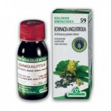 Extracto de Echinacea Angustifolia 59 50 ml Agbio Specchiasol