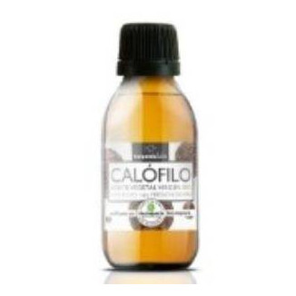 Aceite Vegetal de Calofilo 100 ml Bio Terpenic Evo