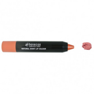 Barra De Labios Con Brillo Rusty Rose 2 gr Benecos