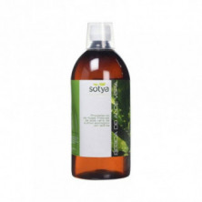 Bebida De Aloe Vera 250 ml Sotya