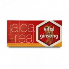 Jalea Real Vital Con Ginseng 10 ml Ampollas 20 Unidades Sotya