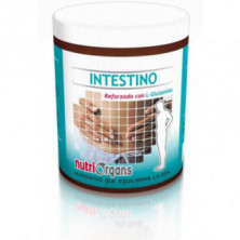 Nutriorgans para Intestino 250 gr Tongil