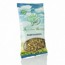 Harpagofito Raíz 100 gr Herbes Del Moli